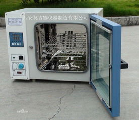 電熱恒溫鼓風(fēng)干燥箱