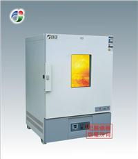 電熱鼓風干燥箱廠家 wgs系列